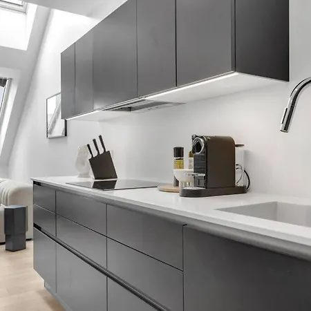 公寓 Luxury Penthous - 3 Bedroom - 2 Bath - Freeparking - Downtown 雷克雅維克