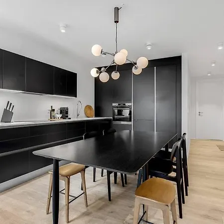 Luxury Penthous - 3 Bedroom - 2 Bath - Freeparking - Downtown 公寓 雷克雅維克
